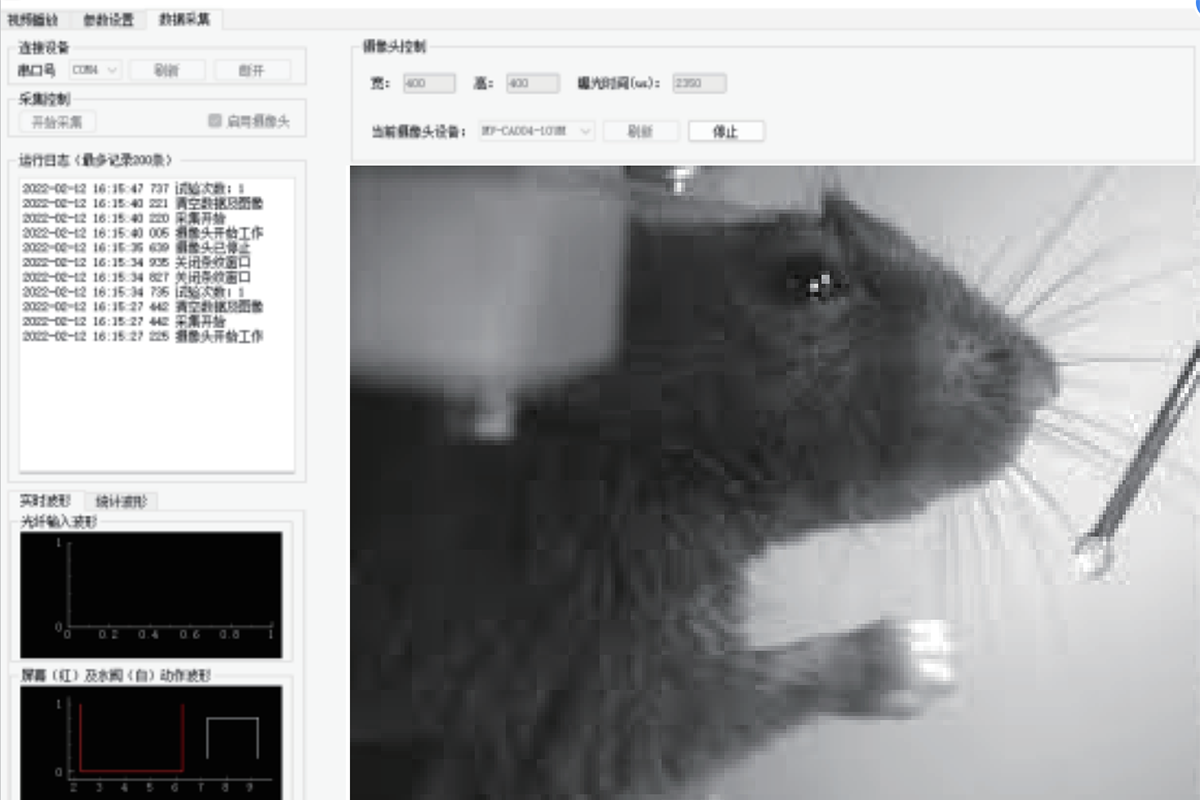 Mouse vision and licking water intake