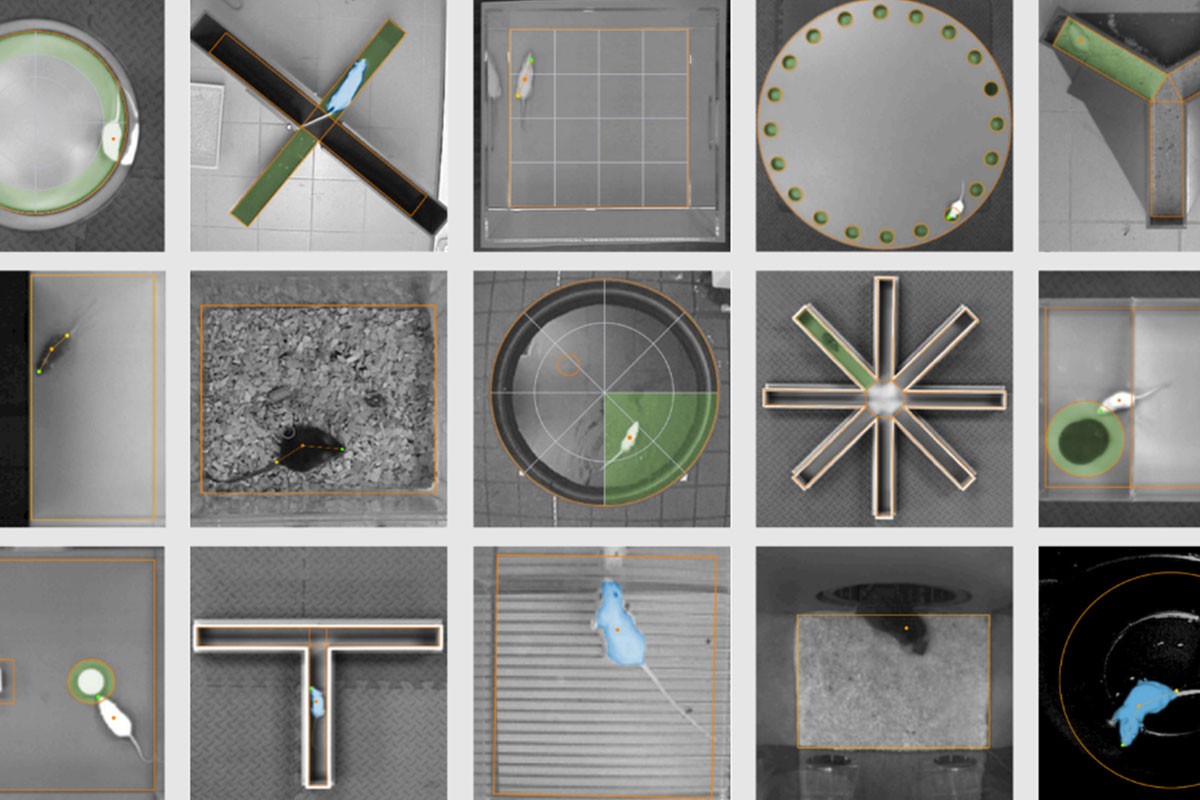 ANY-maze Animal Behavioral Tracking Software